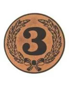  Вставка для медалей D1 A38 25 мм 3 место по низким ценам в Томске и Северске