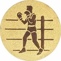 Вставка для медалей AM1-79-G