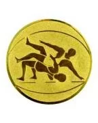 Вставка для медалей D1 A61 25 мм борьба