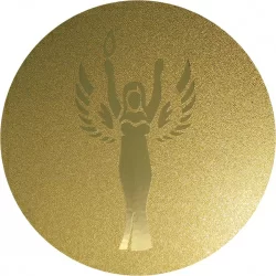 Вставка для медалей AM1-3-G