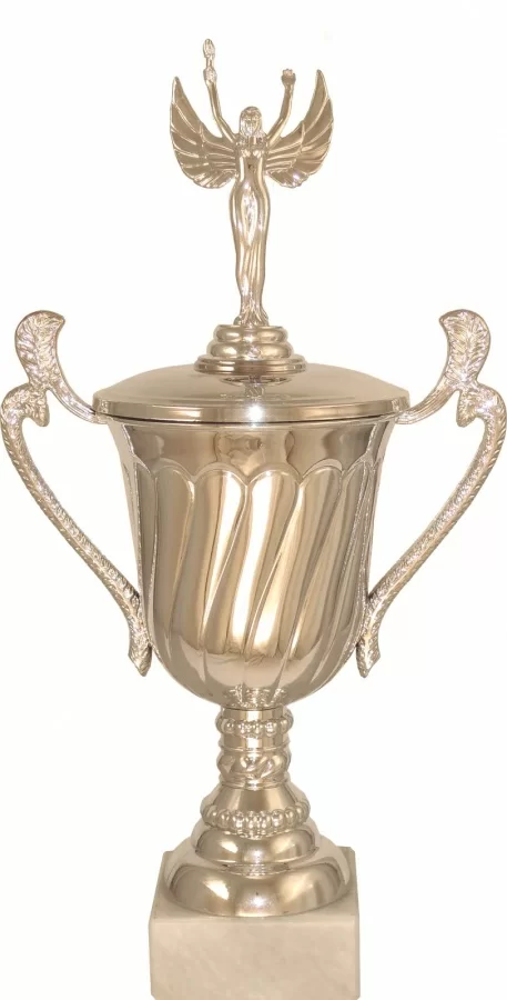  Кубок P141B-S (2) по низким ценам в Томске и Северске