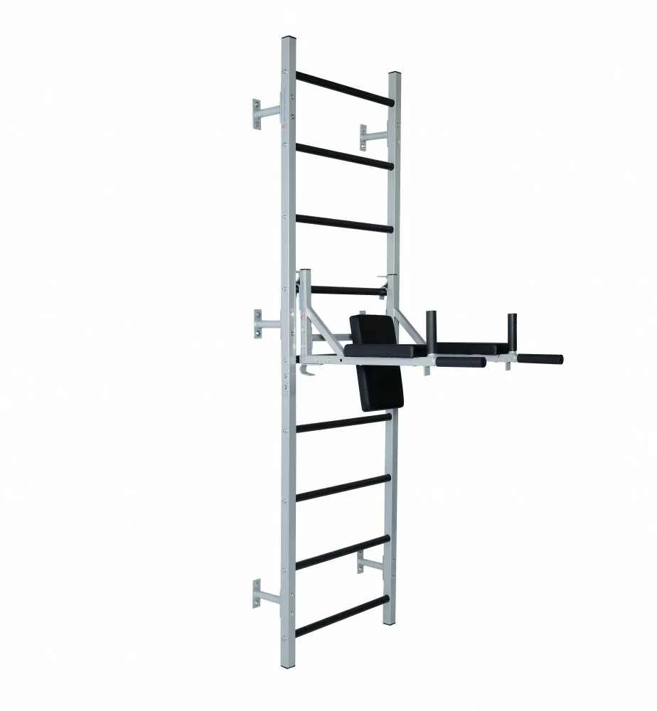  Брусья-пресс навесные со стойкой под штангу по низким ценам в Томске и Северске