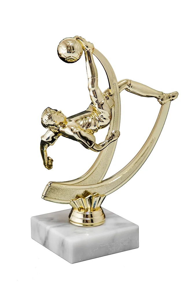  Приз PR 29-170 G Футбол по низким ценам в Томске и Северске