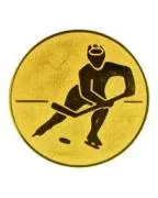  Вставка для медалей D1 A106 25 мм хоккей по низким ценам в Томске и Северске