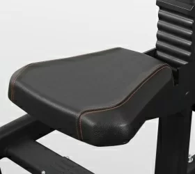 BRONZE GYM PL-1712 Трицепс