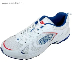 Кроссовки 2К Acvilon white/royal/red