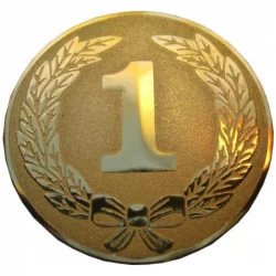 Вставка для медалей AM1-105-G