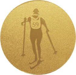 Вставка для медалей AM1-96-G