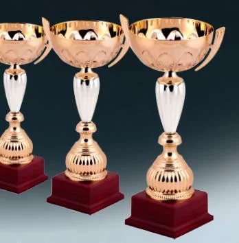  Кубок G8099 С по низким ценам в Томске и Северске