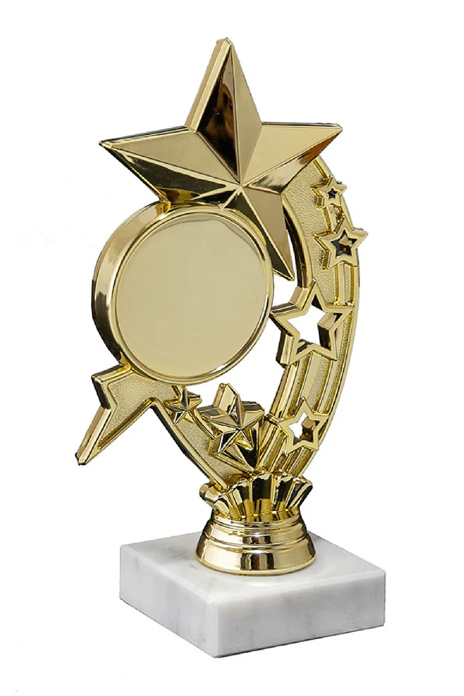  Приз PR 07-190 G Звезда по низким ценам в Томске и Северске