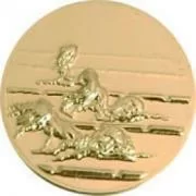 Вставка для медалей D9 B8 25 мм плавание