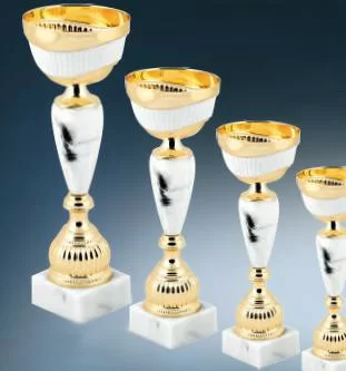  Кубок G8358 B h-34 см по низким ценам в Томске и Северске