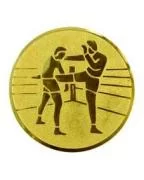  Вставка для медалей D1 A58 25 мм кикбоксинг по низким ценам в Томске и Северске