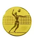 Вставка для медалей D1 A6 25 мм волейбол