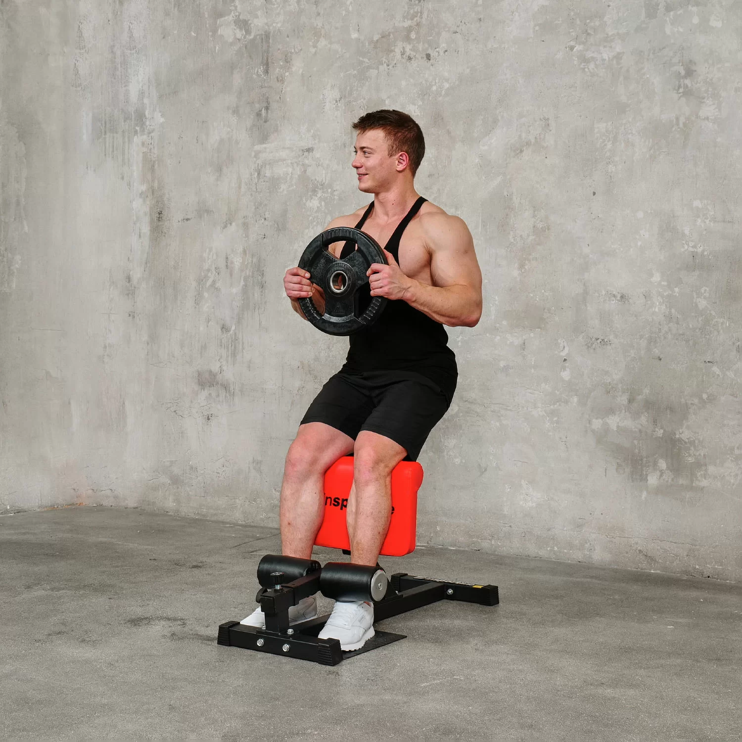  Тренажер для приседаний Sissy Squat DFC IN21715 по низким ценам в Томске и Северске