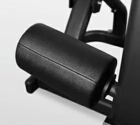 BRONZE GYM PL-1712 Трицепс