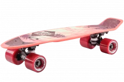 Скейтборд TechTeam пластиковый Kiwi 22 orange