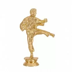 Фигурка F10 h-13 см карате муж.