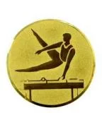 Вставка для медалей D1 A87 25 мм гимнастика