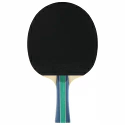 Ракетка для настольного тенниса Double Fish 2A+C серия