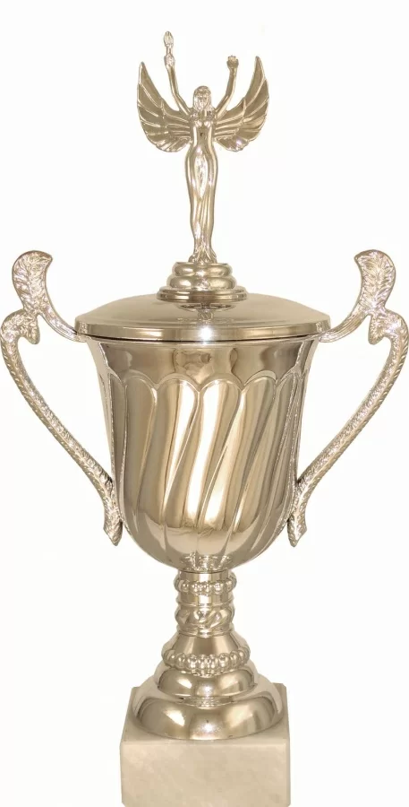  Кубок P141C-S (3) по низким ценам в Томске и Северске