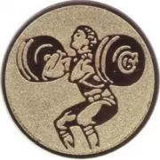  Вставка для медалей D1 A145 25 мм тяжелая атлетика по низким ценам в Томске и Северске