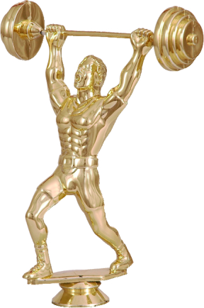  Фигурка F55 по низким ценам в Томске и Северске